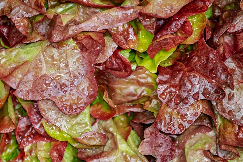 Food Trends Image